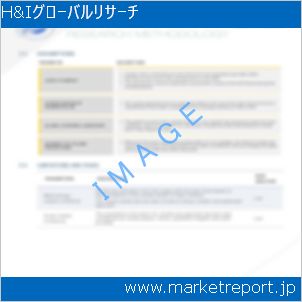 市場と産業調査レポートのイメージ